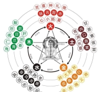五行生克与人生运势——木火土金水的奥秘